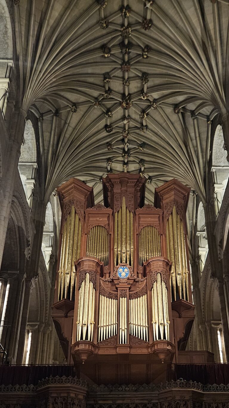Early morning Norwich Cathedral in the Last Barista of Norwich