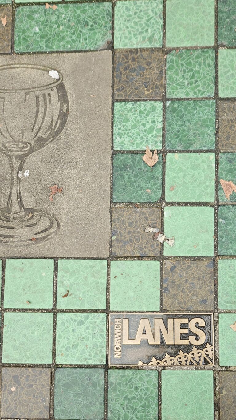 The Lanes in the Last Barista of Norwich