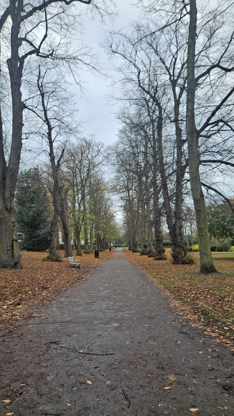 Chapelfield Gardens in the Last Barista of Norwich