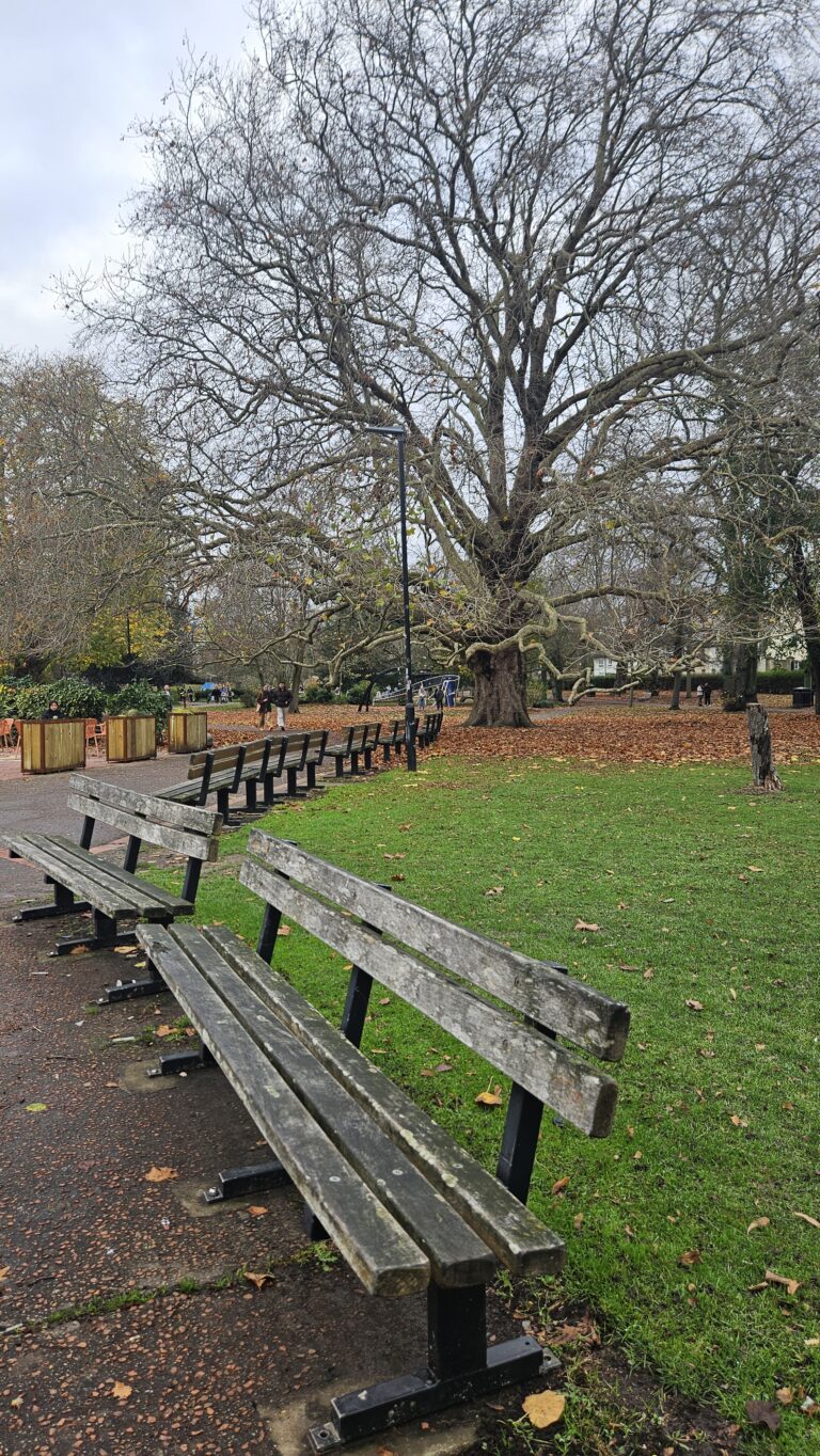 Chapelfield Gardens in the Last Barista of Norwich