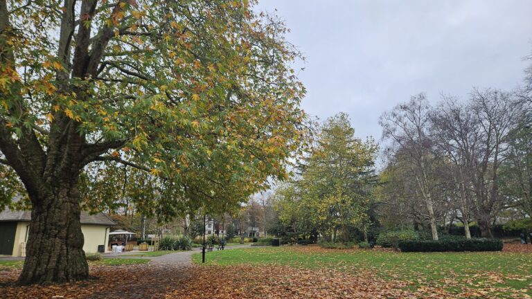 Chapelfield Gardens in the Last Barista of Norwich